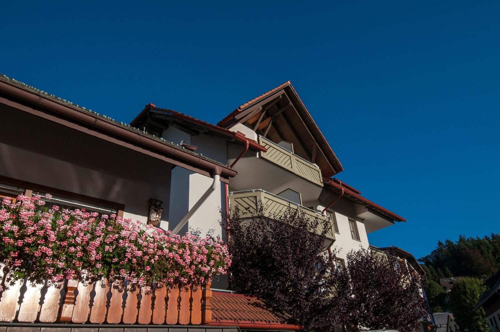 Apartment 06 - Ferienresidenz Roseneck, 2 Schlafzimmer, Mit Schwimmbad In Todtnauberg Bei Feldberg Экстерьер фото